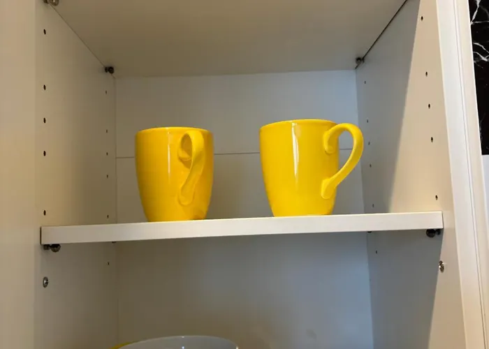 Des Champs Elysees * Paris